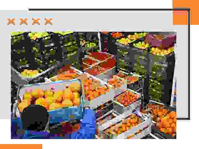 Перевозка скоропортящихся продуктов в Сатке